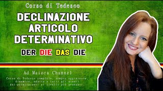 Lezione Tedesco 1  Cosè una declinazione  Declinazione articolo determinativo [upl. by Wonacott96]