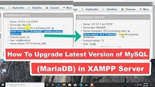 How to Upgrade Latest Version of MySQL MariaDB in XAMPP Server [upl. by Hambley]