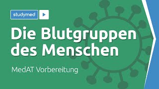 Die Blutgruppen des Menschen  MedAT Vorbereitung [upl. by Eliezer407]