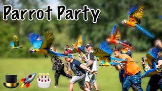 Iago amp Rockets MASSIVE Parrot Party amp Free Flight Day So Many Macaws [upl. by Hayes624]