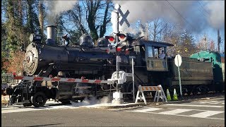 4K New Hope and Ivyland Railroad Cabride on Steam Engine 40 [upl. by Ytirahc]