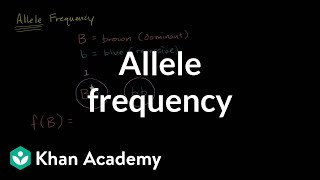 Allele frequency [upl. by Mckay765]