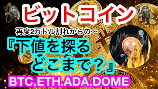 🧌BTCが2万ドル割れ‼️年初来最安値を付けるか❗️❓ビットマンTVが厚めに買った現物はこれや😑話題現在価格や💋【仮想通貨 BTCETHADADOME】 [upl. by Notnarb395]