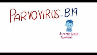 Parvovirus B19  Fifth Disease  pathogenesis clinical features diagnosis and management [upl. by Namron]