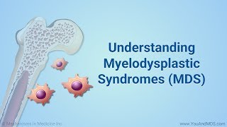 Understanding Myelodysplastic Syndromes MDS [upl. by Myrna]