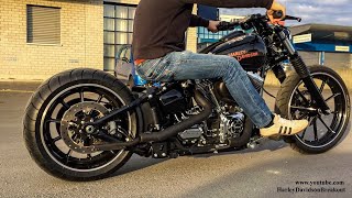 HarleyDavidson Exhaust Sound [upl. by Judith]