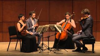 Beethoven String Quartet Op 132 in A Minor  Ariel Quartet full [upl. by Anaizit]