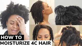 The ONLY Video You Need on How to Moisturize DRY 4C Natural Hair  DETAILED TUTORIAL 🙌🏽 💦 [upl. by Latisha]