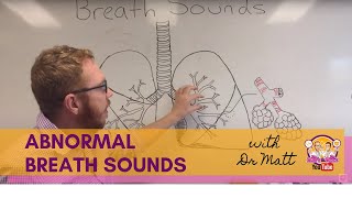 BREATH SOUNDS BRONCHITIS [upl. by Airitak]