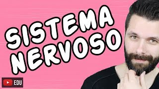 SISTEMA NERVOSO  FISIOLOGIA  Aula  Biologia com Samuel Cunha [upl. by Eirrod]