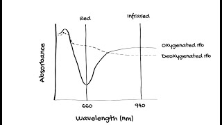 How does Pulse Oximetry work [upl. by Kulseth971]