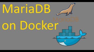 How to run Mariadb in Docker and Connect Remotely [upl. by Marget]