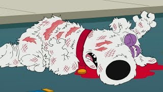 Family guy  Brian dies [upl. by Aicilra]