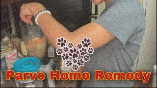 Treating Parvo in Dogs  Parvovirus All Natural Home Remedy  Lana Yazmeen [upl. by Assirahs]