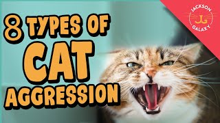 8 Types of Cat Aggression Explained [upl. by Nylrak560]