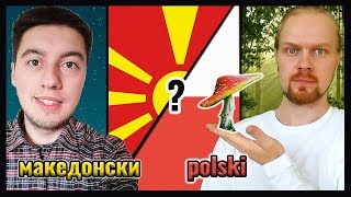 Macedonian Language VS Polish  How similar are Slavic Languages [upl. by Oremor541]