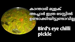 Kanthari pickle recipe കാന്താരി അച്ചാർ Naazworld [upl. by Dave]