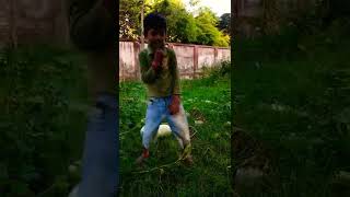 machhali ke jaise tadpe javani Bhojpuri danceshorts [upl. by Itch62]