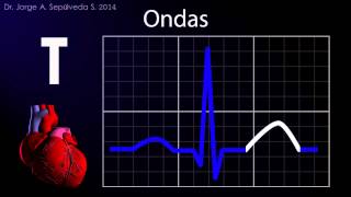 Electrocardiografía Básica Parte 14 [upl. by Zelda]