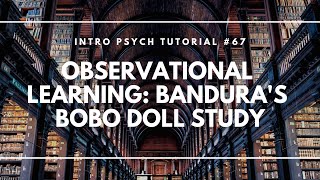 Observational Learning Banduras Bobo Doll Study Intro Psych Tutorial 67 [upl. by Eiaj271]