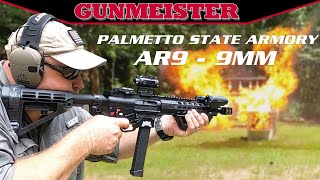 9mm AR15  PSA GX9 REVIEW [upl. by Abdul11]