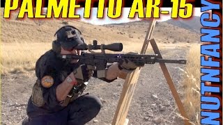 Palmetto State Armory quotFreedomquot AR15 Full Review [upl. by Eimilb]