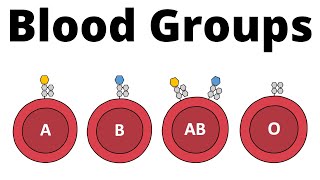 ABO Blood Group System AB0 Blood types amp compatibility explained [upl. by Noynek]