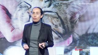 Understanding Cat Behavior Dr Sandra Lyn [upl. by Nylcoj]