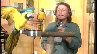 Macaws  Care and Breeding  Part 2 Full [upl. by Akinert]