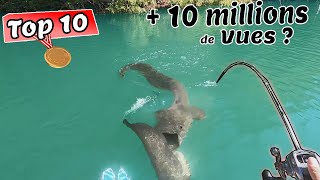 Les 10 Vidéos de Pêche en France LES PLUS VUES [upl. by Caitrin]