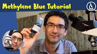 🔬 How to stain cells with Methylene Blue  Amateur Microscopy [upl. by Richlad]