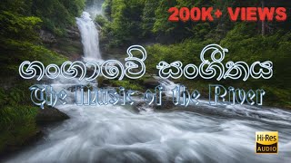 The music of the river  Gangaawe sangeethaya  HM Kudaligama [upl. by Lexine319]