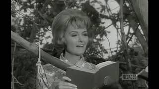 The Donna Reed Show S8E09Trees [upl. by Perren]