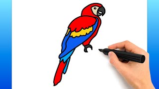 How To Draw A Scarlet Macaw Easy Drawing Tutorial [upl. by Johppa]