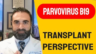 Parvovirus B19  Transplant Perspective [upl. by Nie894]