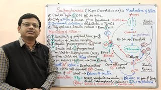 Diabetes Mellitus Part10 Mechanism of Action of Sulfonylurease  Antidiabetic Drugs  Diabetes [upl. by Gavrila]