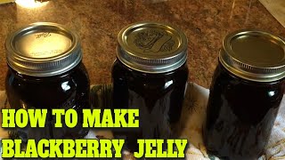 BLACKBERRY JELLY  STEP BY STEP  EASY…DELICIOUS RECIPE [upl. by Warwick]