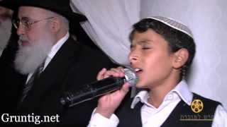 Uziya Tzadok Sings Kochav Meir Live At Chuppah [upl. by Eldin85]