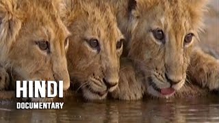 911 Disaster हिंदी Shocking Investigation National Geographic India Hindi [upl. by Surazal841]