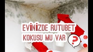 BUNLARI YAPIN EVDEKİ RUTUBET KOKUSUNDAN KURTULUN [upl. by Neema822]