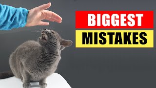 20 Common Mistakes Cat Owners Make [upl. by Past]