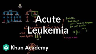 Acute leukemia  Hematologic System Diseases  NCLEXRN  Khan Academy [upl. by Darcee231]