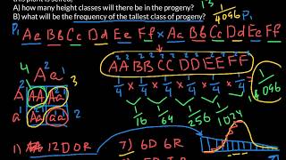 Multiple Alleles ABO Blood Types and Punnett Squares [upl. by Emilio693]