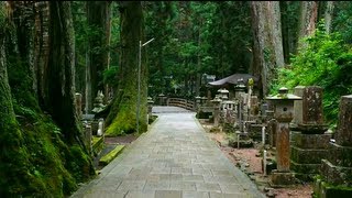 Best Temple in Japan Koyasan Temple My opinon that is [upl. by Kaitlin552]