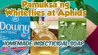 Mabisang pamuksa ng Whiteflies at AphidsHomemade Insecticidal Soap [upl. by Scheers]