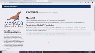 How to install MariaDB on Windows 10 [upl. by Nelhsa150]