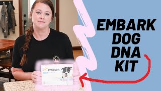 Embark Dog DNA Test  Review [upl. by Eustace]