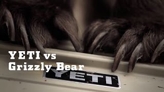 YETI vs Grizzly Bear  YETI Coolers [upl. by Aihsined743]