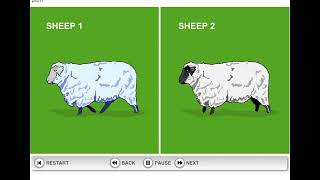 How Dolly the Sheep was cloned [upl. by Ver476]