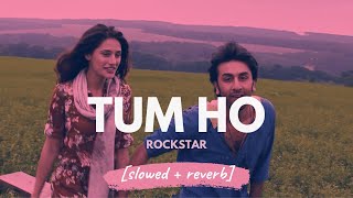 Tum Ho  Mohit Chauhan Rockstar slowed  reverb [upl. by Veradis]